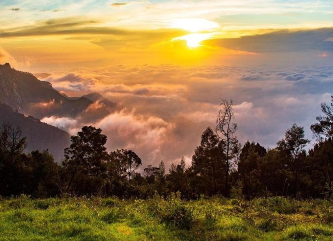 Cloud Walk Bed and Breakfast Kodaikanal Εξωτερικό φωτογραφία