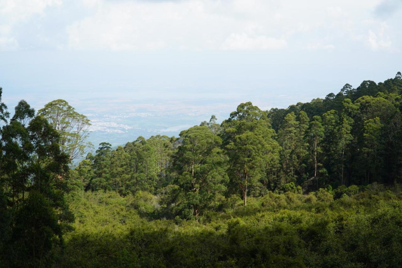 Cloud Walk Bed and Breakfast Kodaikanal Εξωτερικό φωτογραφία