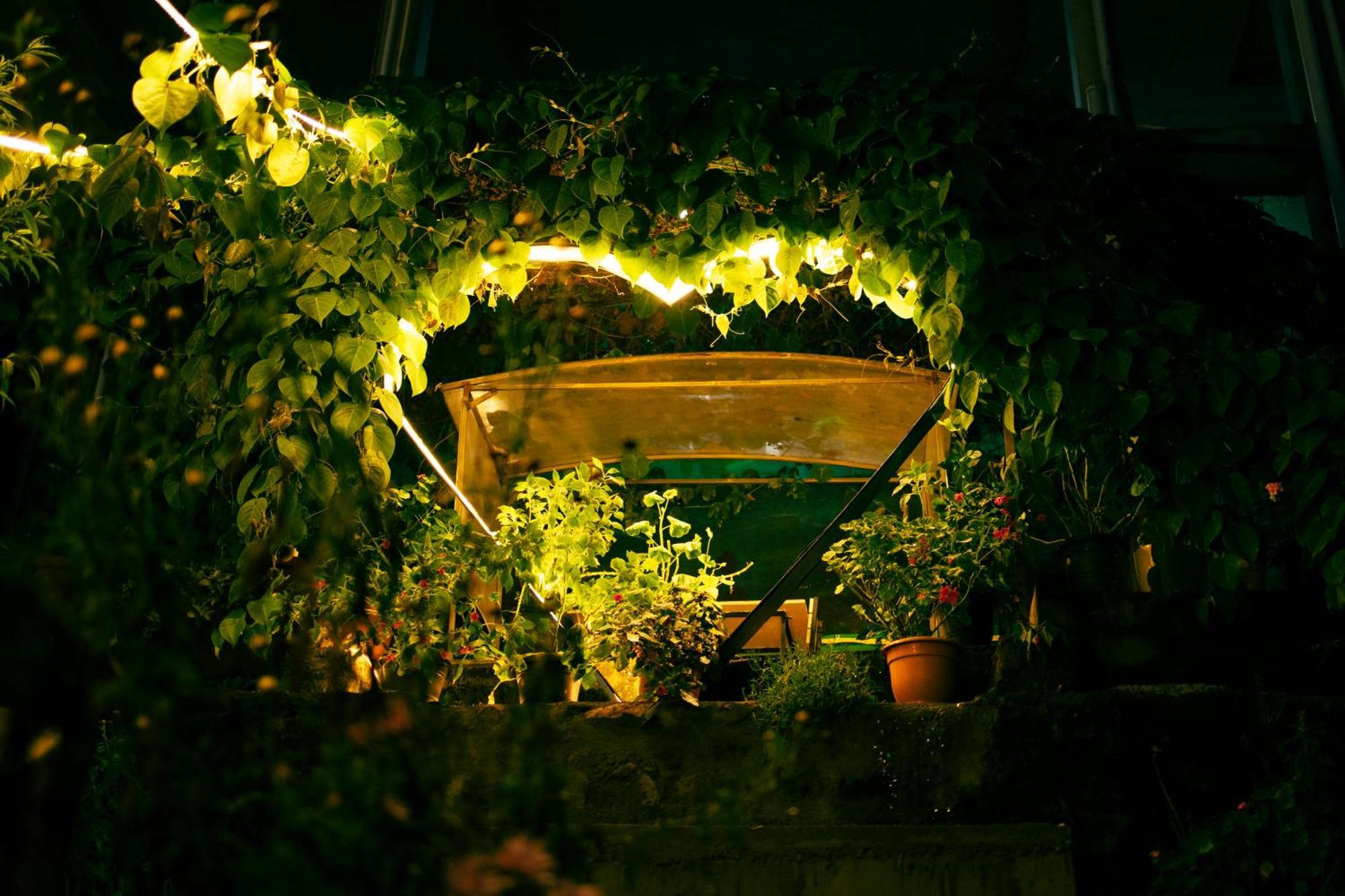 Cloud Walk Bed and Breakfast Kodaikanal Εξωτερικό φωτογραφία